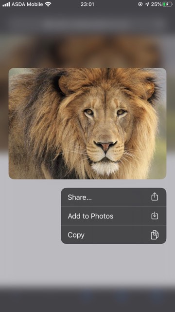 Cómo guardar imágenes de la Web en el iPhone 1