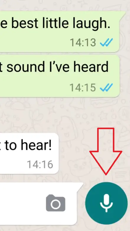 Cómo convertir los mensajes de voz de WhatsApp en texto 2