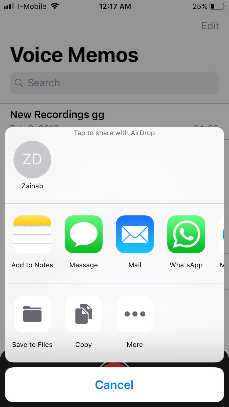 Cómo transferir notas de voz del iPhone al ordenador 3