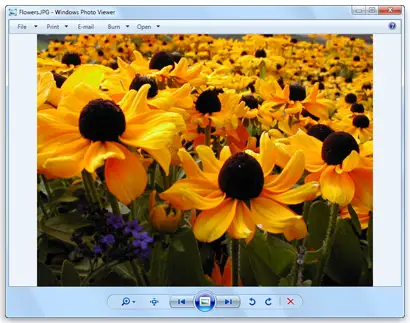 Mejor visor de fotos para Windows 10 1