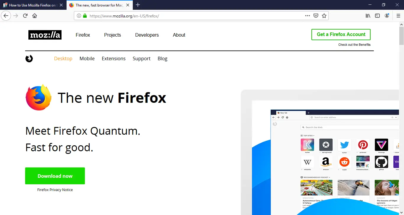 Cómo usar Mozilla Firefox 1