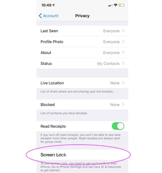 Cómo bloquear aplicaciones en el iPhone 2