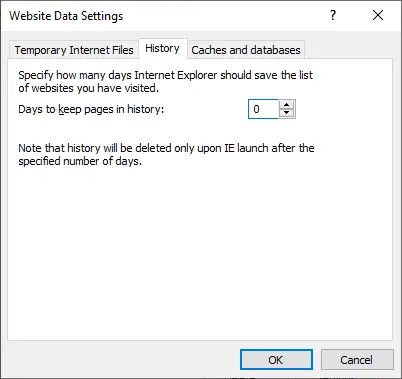 ¿Por qué Internet Explorer es tan lento? 1