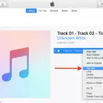 Arreglar la importación de CD a iTunes no funciona