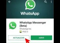 Cómo actualizar WhatsApp 16