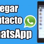 Cómo añadir el contacto a Whatsapp