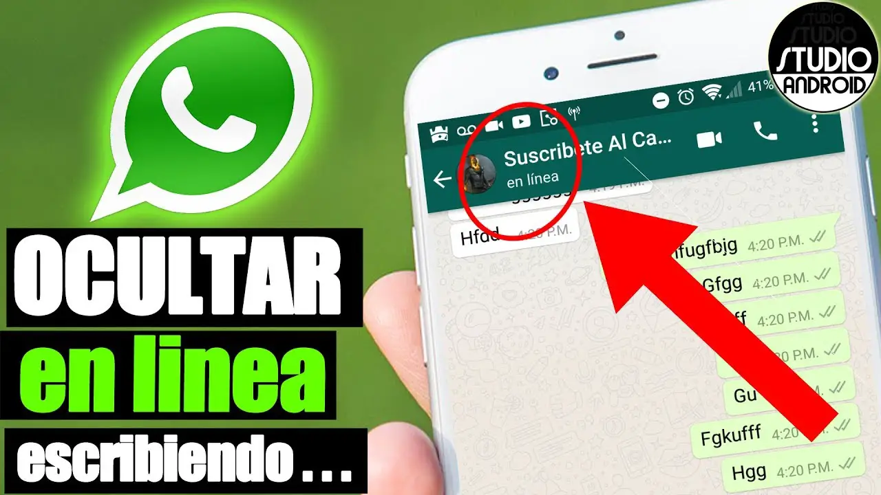 Cómo aparecer fuera de línea en Whatsapp 46