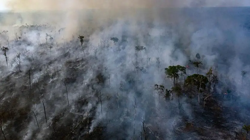 Cómo borrar el Prime de la Amazonía La historia recientemente vista 1