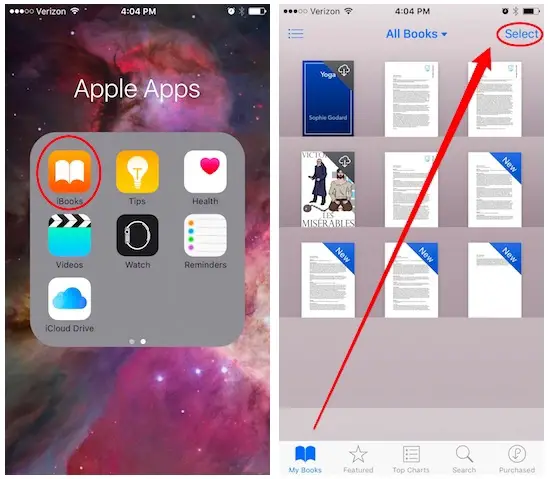 Cómo borrar libros de iBooks 31