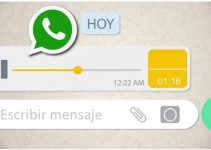Cómo convertir los mensajes de voz de WhatsApp en texto 24