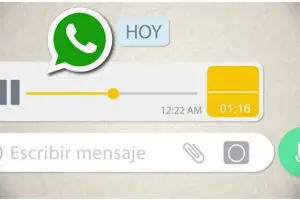 Cómo convertir los mensajes de voz de WhatsApp en texto 49