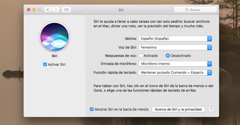 Cómo deshabilitar a Siri en Mac 5