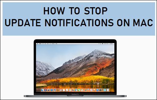 Cómo detener la notificación de actualización de Mac 19