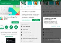 Cómo instalar y actualizar los servicios de Google Play 6