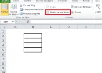 Cómo ocultar las líneas de la cuadrícula en Excel 15