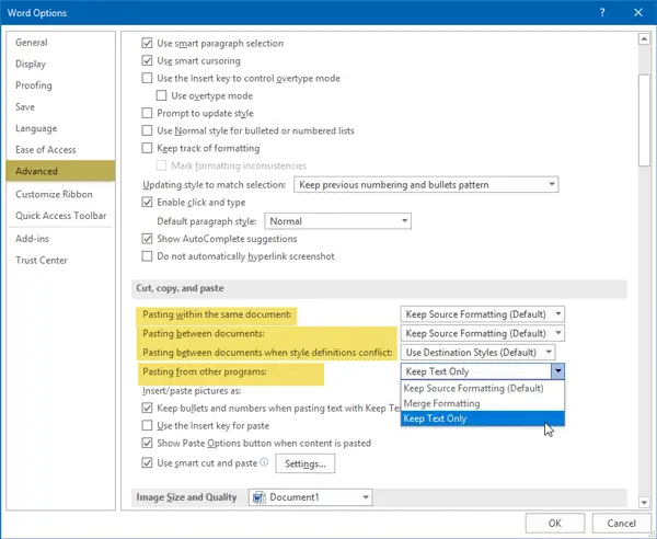 Cómo pegar siempre el formato de texto simple en Microsoft Word 15