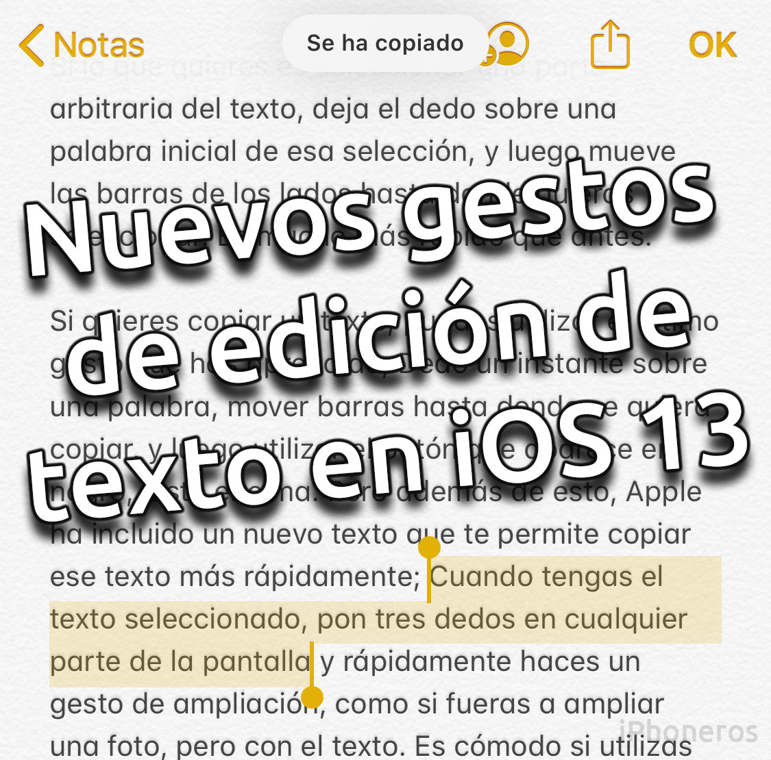 ¿Copiar y pegar no funciona en el iPhone? Intenta estos trucos 29