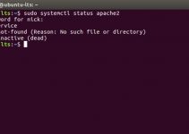 Corregir el error de "No Route to Host" en Linux 3