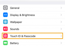 ¿El Touch ID no funciona correctamente? Pruebe estos archivos 24