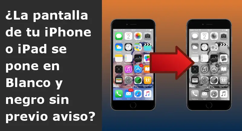 ¿Pantalla del iPhone en blanco y negro? Esta es la solución 1