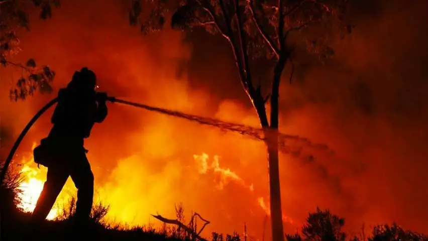Qué hacer si el palo de la televisión de incendios se acercó 5