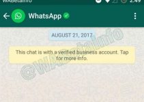 ¿Qué significan las marcas de verificación en WhatsApp? 25