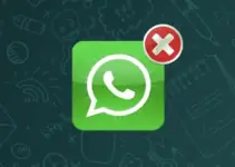 ¿Alguien sabrá si los borraste Whatsapp? 5