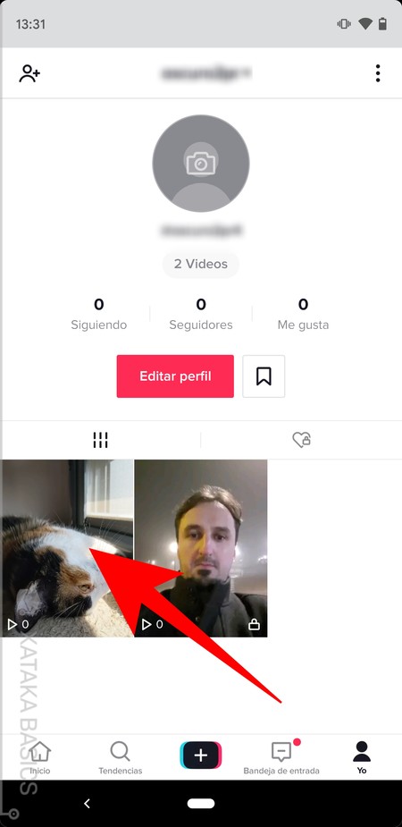 Tiktok borró mis videos 23