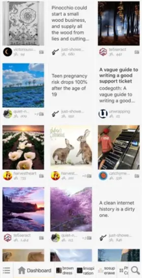 7 mejores aplicaciones de Tumblr de 2020 4