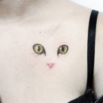 80 Mejores Pies de foto de gatos Instagram