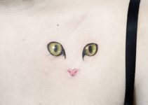 80 Mejores Pies de foto de gatos Instagram 3