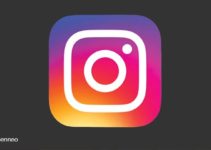 ¿Qué significa Instagrammer? 17