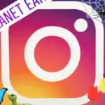 Cómo añadir emojis y pegatinas Historias de Instagramas
