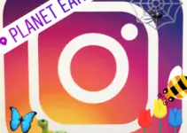 Cómo añadir emojis y pegatinas Historias de Instagramas 5