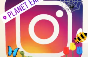 Blog sobre tecnología, trucos y consejos 66 Cómo añadir emojis y pegatinas Historias de Instagramas