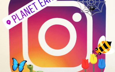 Cómo añadir emojis y pegatinas Historias de Instagramas 12