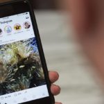 ¿Los videos de Instagram no se reproducen? Esto es lo que hay que hacer los-videos-de-instagram-no-se-reproducen-esto-es-lo-que-hay-que-hacer
