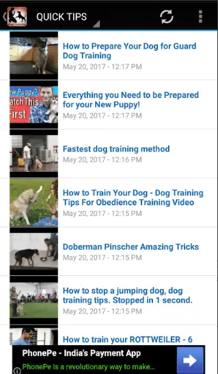 7 Mejores aplicaciones de entrenamiento de perros de 2023 5