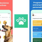 7-mejores-aplicaciones-de-entrenamiento-de-perros-de-2023