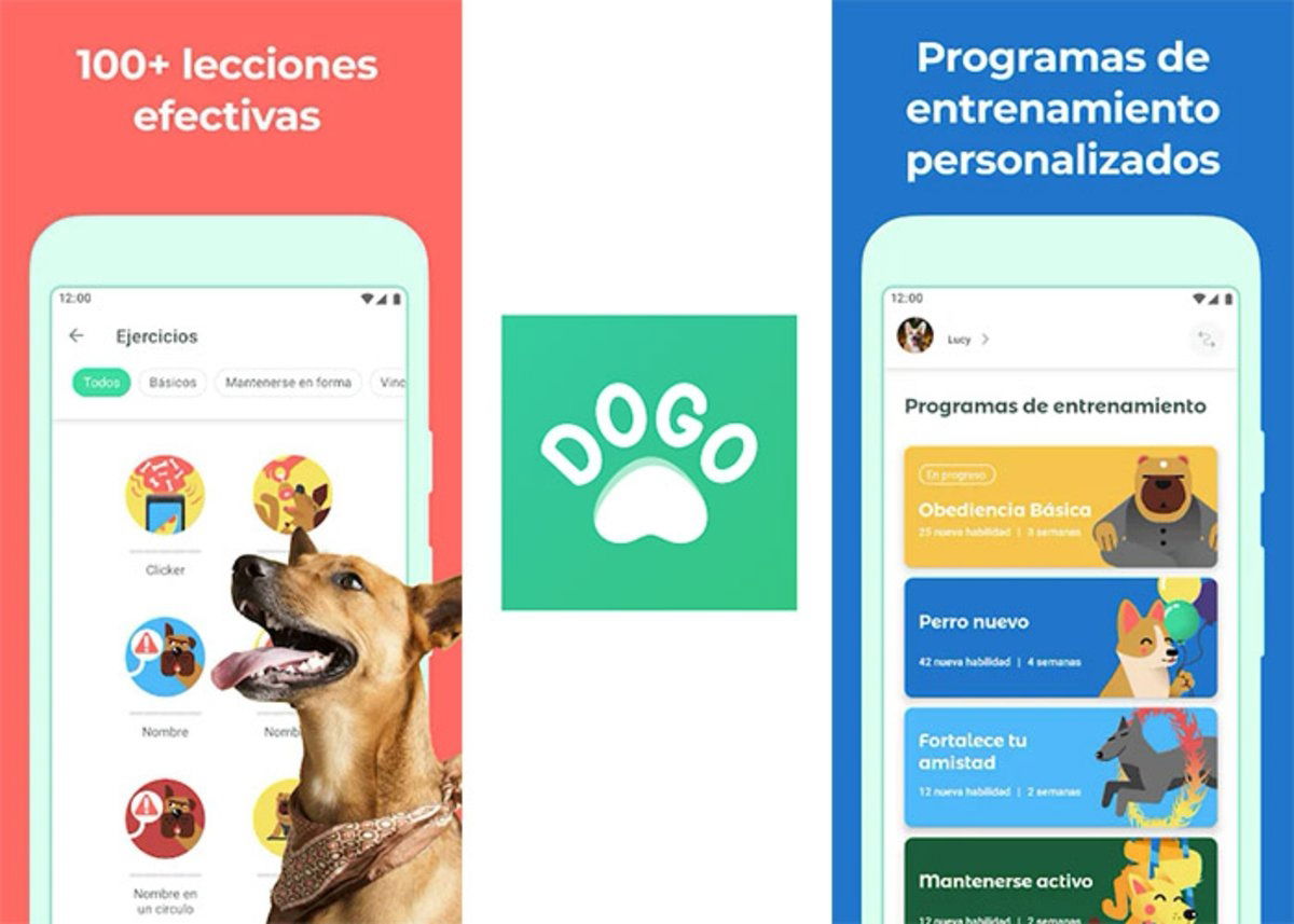 7 Mejores aplicaciones de entrenamiento de perros de 2023 12