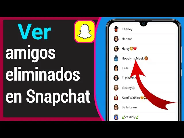 Cómo ver a los amigos eliminados en Snapchat 20