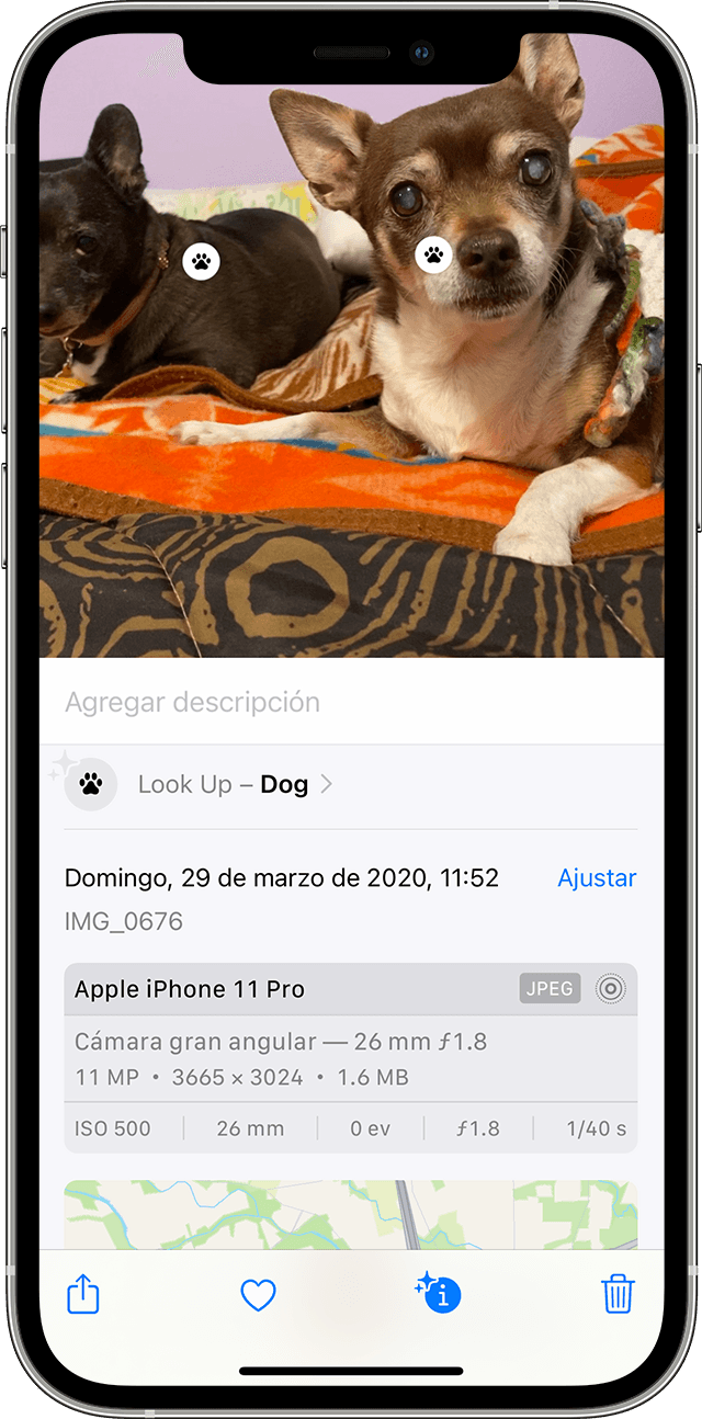 Las fotos no reconocen el iPhone 34