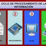 ciclo-de-procesamiento-de-la-informacion-etapas-y-ejemplos