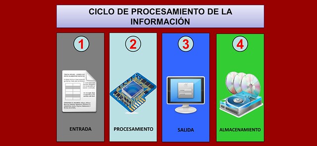Ciclo de Procesamiento de la Información: Etapas y ejemplos 2