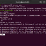 instalar-ssh-ubuntu-guia-tecnica-de-instalacion-y-configuracion