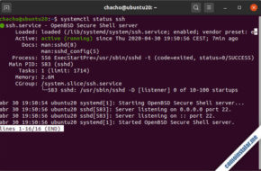 Actualizar ubuntu desde terminal: configuración paso a paso