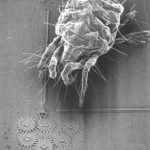 mems-que-son-los-sistemas-microelectromecanicos