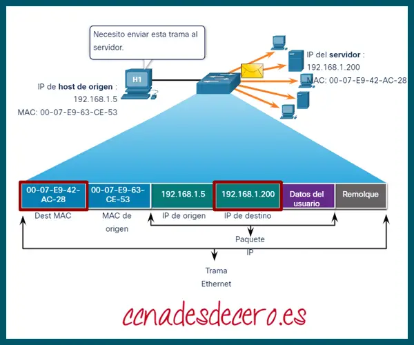XMAC: Definición y usos en redes 5