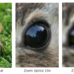 zoom-optico-que-es-y-diferencias-frente-al-zoom-digital