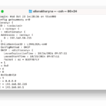 Osx ipconfig: guía técnica de instalación y configuración osx-ipconfig-guia-tecnica-de-instalacion-y-configuracion